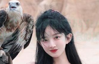 每次都要追踪155.fun网站的最新IP地址，真是一场无尽的探险！