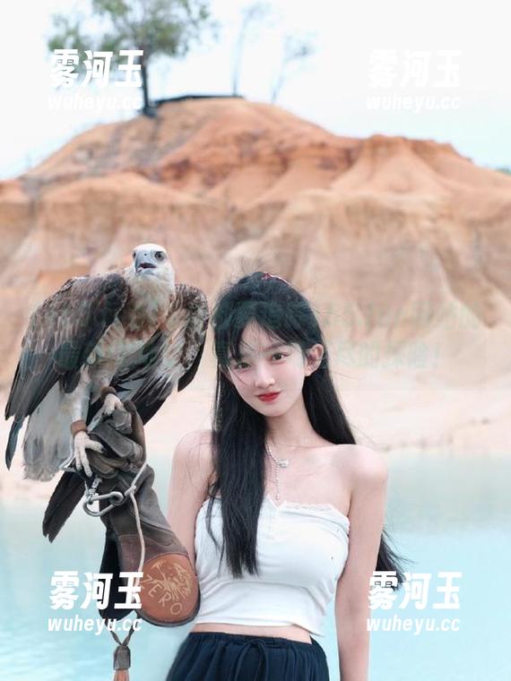 每次都要追踪155.fun网站的最新IP地址，真是一场无尽的探险！