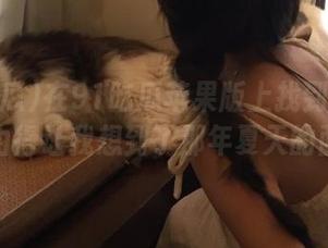 在91吃瓜苹果版上找到的网址，不由得让我想到了那年夏天的西瓜！