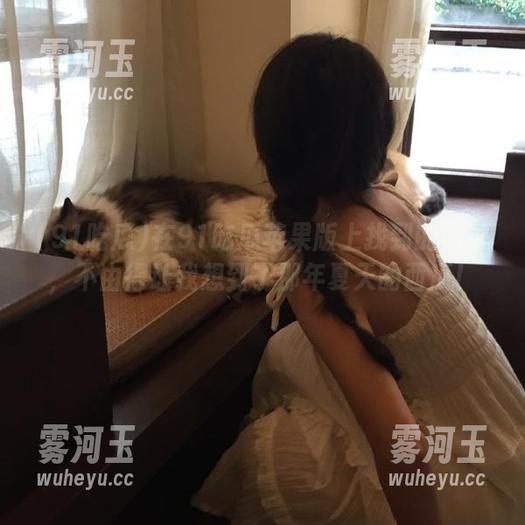 在91吃瓜苹果版上找到的网址，不由得让我想到了那年夏天的西瓜！