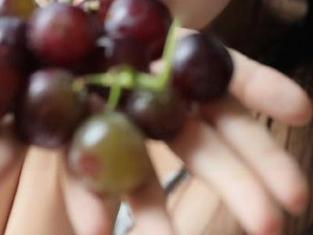 ‘91黑料网’新开的无敌八卦线路，听说能包子里藏金！