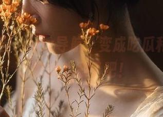 当‘hlw导航’变成吃瓜利器，这也太戏剧了吧！