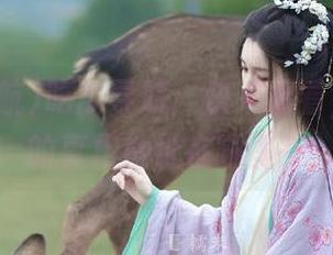 吃瓜导航：快来看看，这些瓜的真相地址在哪里？
