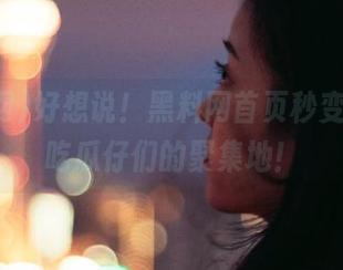 好想说！黑料网首页秒变官网，吃瓜仔们的聚集地！